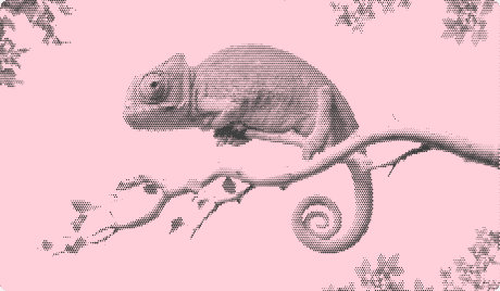 Illustration of a chameleon on a branch
